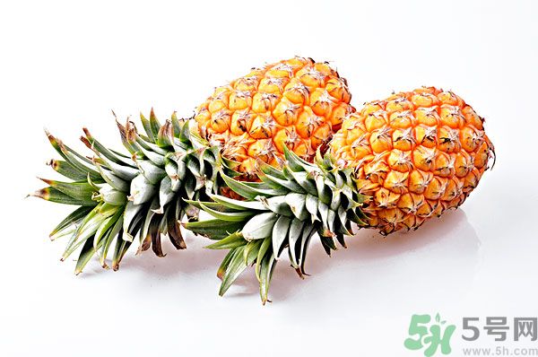 芒果和菠蘿能一起吃嗎？芒果和菠蘿一起吃好嗎？
