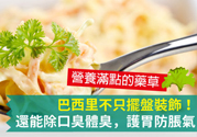 吃芹菜可以去口臭嗎？口臭可以吃芹菜嗎？
