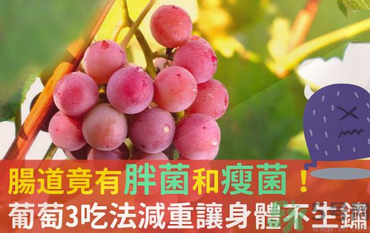 吃葡萄可以不吐葡萄籽嗎？吃葡萄皮好不好？