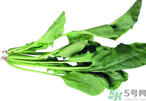 吃菠菜可以補(bǔ)血嗎?菠菜怎么吃能補(bǔ)血?.png 吃菠菜可以補(bǔ)血嗎?菠菜怎么吃能補(bǔ)血?.png