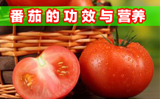 番茄火鍋要用蘸料嗎 番茄火鍋蘸料怎么調(diào)好吃