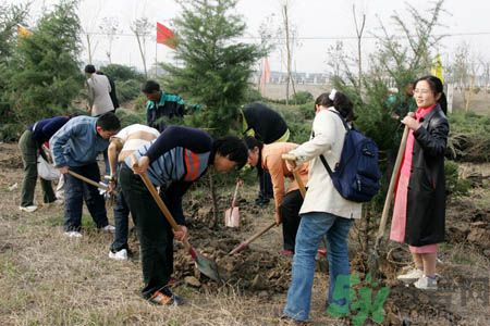 植樹節(jié)是幾月幾日？植樹節(jié)可以做些什么活動？