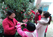 植樹節(jié)是幾月幾日？植樹節(jié)可以做些什么活動？