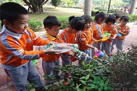 如何提高植樹的成活率？植樹節(jié)種樹要注意哪些細節(jié)？