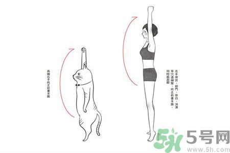 電腦族肩膀痛疼怎么辦？肩膀痛疼怎么解決？
