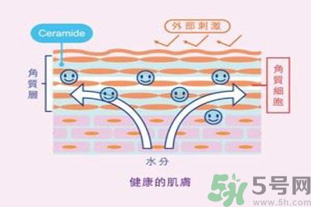 皮膚炎癢是怎么回事？皮膚炎發(fā)作怎么治療？