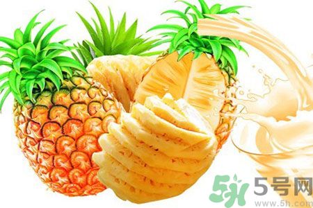 菠蘿和鳳梨有什么區(qū)別？菠蘿和鳳梨誰(shuí)更好吃？