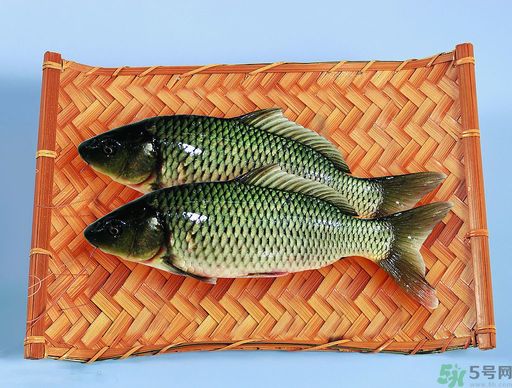 孕婦吃什么魚對胎兒好？孕婦吃什么魚最好？