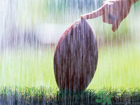 濕氣重的癥狀？怎么去除體內(nèi)的濕氣？