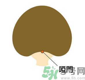 臉總是腫腫的怎么辦？臉有點(diǎn)浮腫怎么消腫？