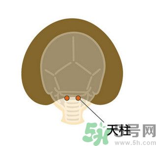 臉總是腫腫的怎么辦？臉有點(diǎn)浮腫怎么消腫？