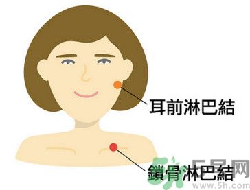 臉總是腫腫的怎么辦？臉有點(diǎn)浮腫怎么消腫？