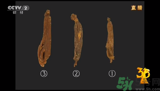紅參怎么挑選？紅參摻糖怎么辯解？