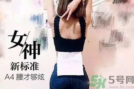B5腰圍比A4腰圍更好？B5腰是什么意思？