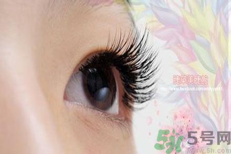 種睫毛的危害有哪些？種睫毛能保持多久？
