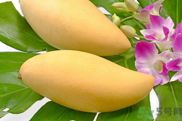 吃芒果嘴唇過敏怎么辦？為什么吃了芒果后嘴巴癢？