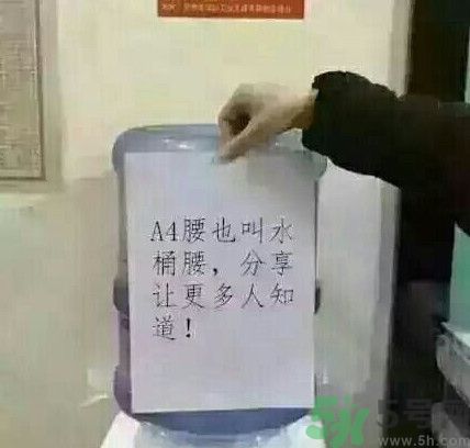 a4腰也叫水桶腰是什么意思？a4腰也叫水桶腰圖片？ 