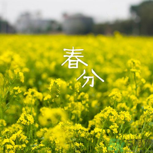 春分時養(yǎng)生要注意什么？春分要預(yù)防哪些疾病？