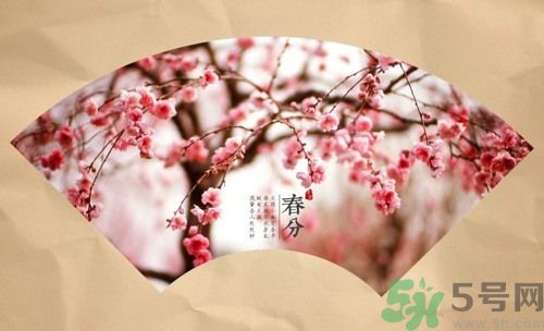 春分時養(yǎng)生要注意什么？春分要預(yù)防哪些疾病？