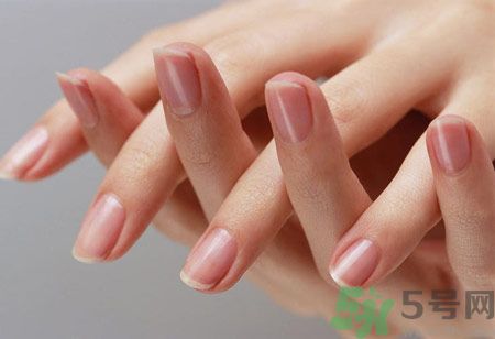從月牙看健康 如何從月牙看出你的體質(zhì)？