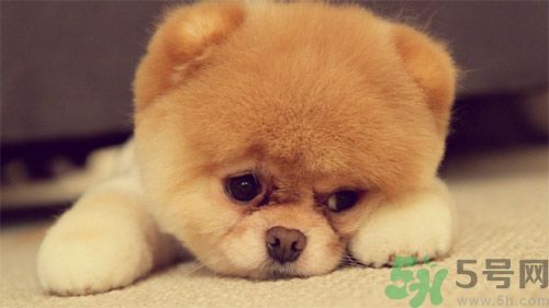睡覺能戴手表嗎？睡覺不能帶的東西有哪些？