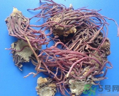 紫菀的功效和作用是什么？紫菀的用法用量是多少？