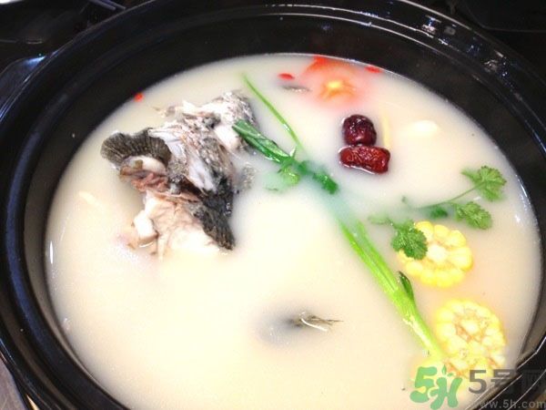 煲魚湯怎么去腥？家常魚湯做法有哪些？