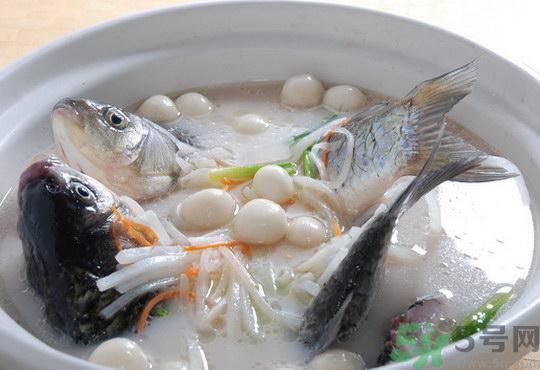 煲魚湯怎么去腥？家常魚湯做法有哪些？