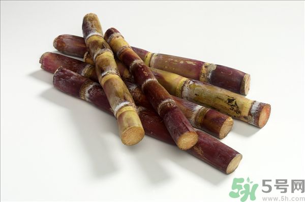 清明節(jié)能吃甘蔗嗎？清明節(jié)吃甘蔗會中毒嗎？