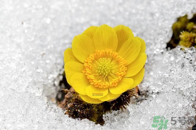 清明節(jié)有哪些習(xí)俗？清明節(jié)習(xí)俗的來源？