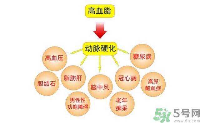 吃什么可以降血脂？高血脂吃什么好？