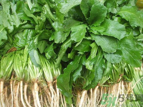 薺菜是發(fā)物嗎？薺菜是不是發(fā)物？