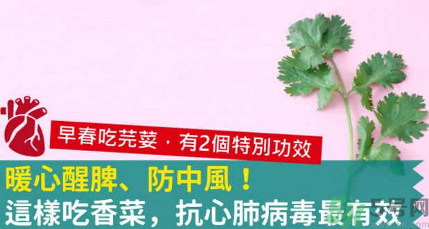 春天吃香菜好嗎？春天吃香菜有什么好處？