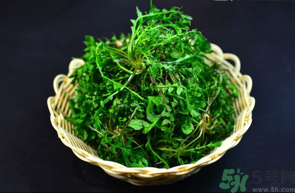 薺菜根能吃嗎？薺菜要去根吃嗎？