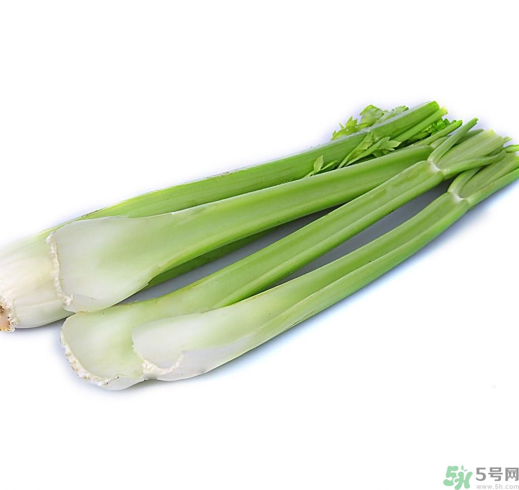芹菜可以減肥嗎？芹菜有什么功效？