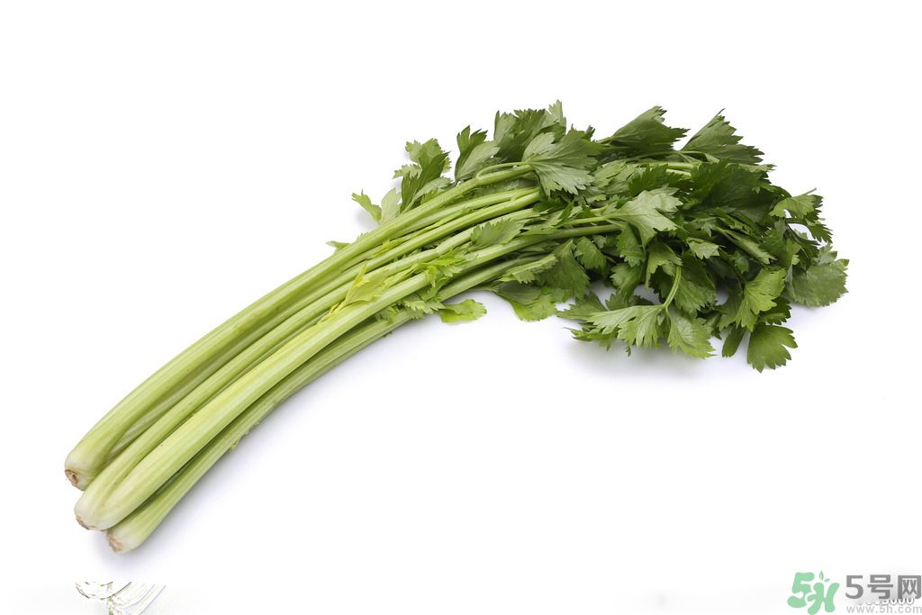 芹菜可以減肥嗎？芹菜有什么功效？