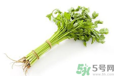 芹菜可以減肥嗎？芹菜有什么功效？