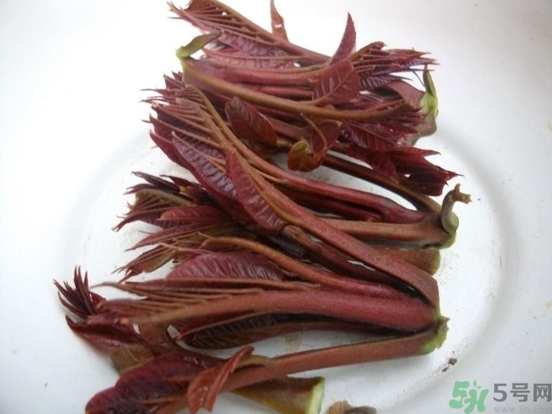 香椿好吃嗎？香椿可以做菜嗎？