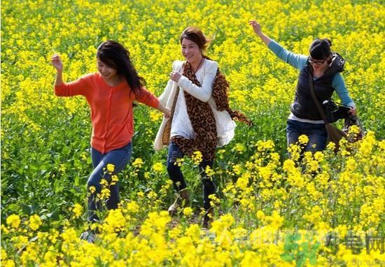 清明節(jié)的習俗有哪些？清明節(jié)吃什么？