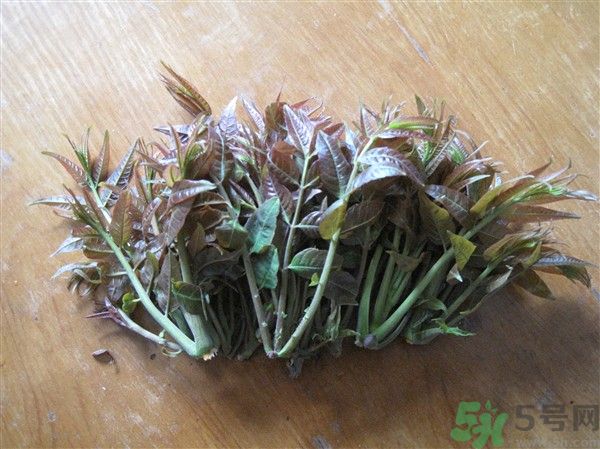 香椿怎么吃才安全？吃香椿的最佳時(shí)間是什么時(shí)候？