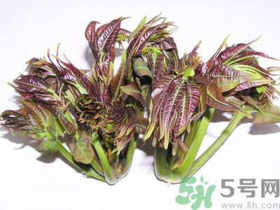 吃香椿有什么好處？香椿可以預(yù)防疾病嗎？