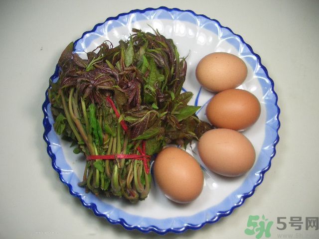 怎么挑選香椿呢？挑選香椿的小竅門？
