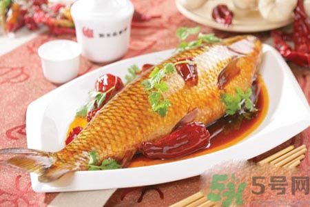 怎么挑選魚(yú)？挑魚(yú)的技巧有哪些？
