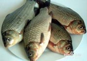 怎么挑選魚(yú)？挑魚(yú)的技巧有哪些？