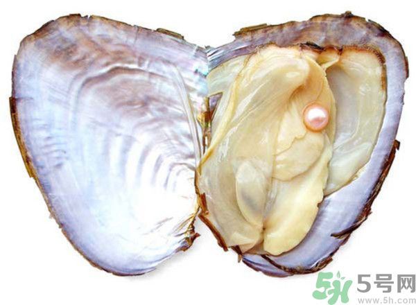 河蚌什么時候吃最好？吃河蚌有什么好處？