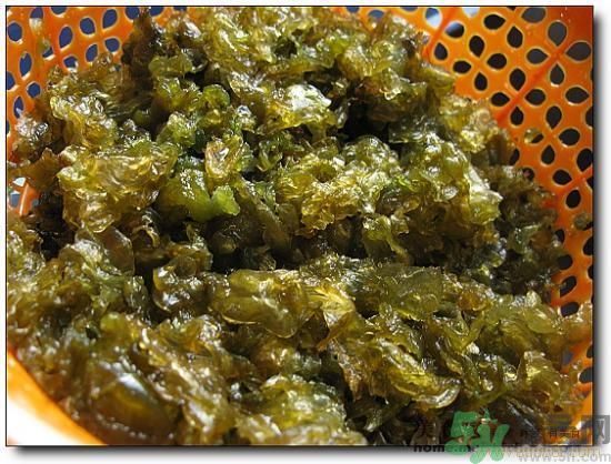 地皮菜怎么清洗干凈？怎樣洗地皮菜？
