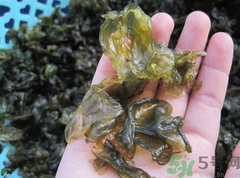 地皮菜孕婦能吃嗎？地皮菜孕婦吃好嗎？