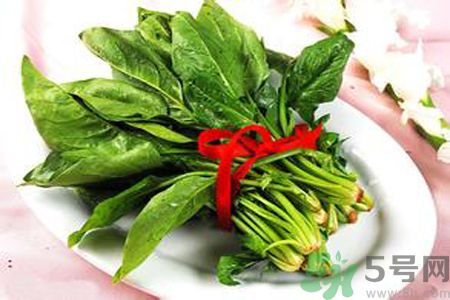 補(bǔ)血吃什么好？補(bǔ)血的食物有哪些？