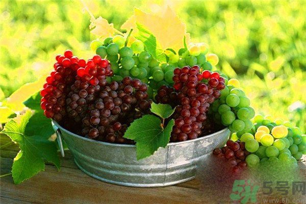 高血脂吃什么水果好？什么水果可以降血脂？