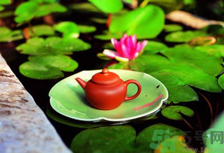 降血脂的茶有哪些？什么茶可以降血脂？